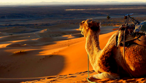 Marrocos Completo